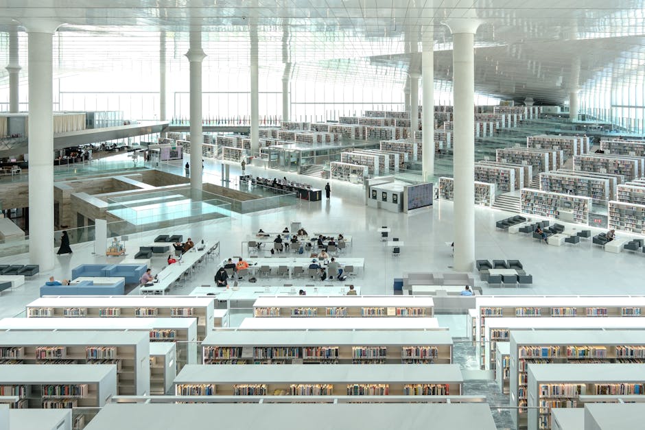 Interno di una biblioteca moderna